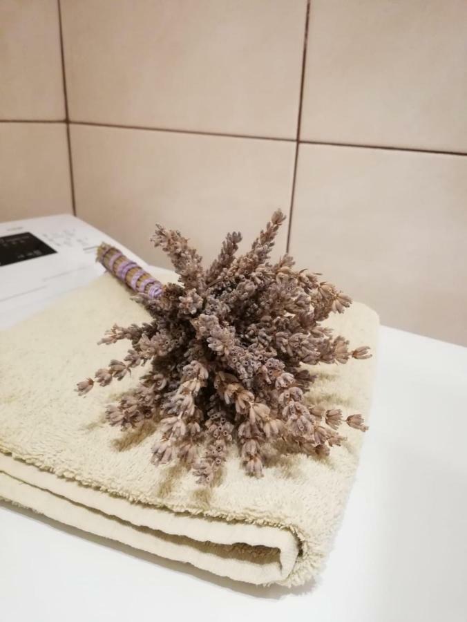 Apartman Jela 希贝尼克 外观 照片